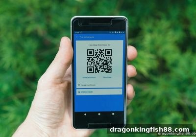 龙王捕鱼玩家指南：数字货币提现审核与路单分析实战技巧
