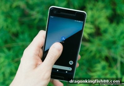 龙王捕鱼玩家必备：USDT充值手续费全面指南