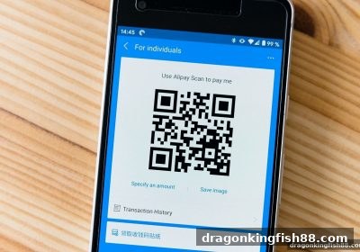 龙王捕鱼深度解析：USDT提现审核流程与加速攻略