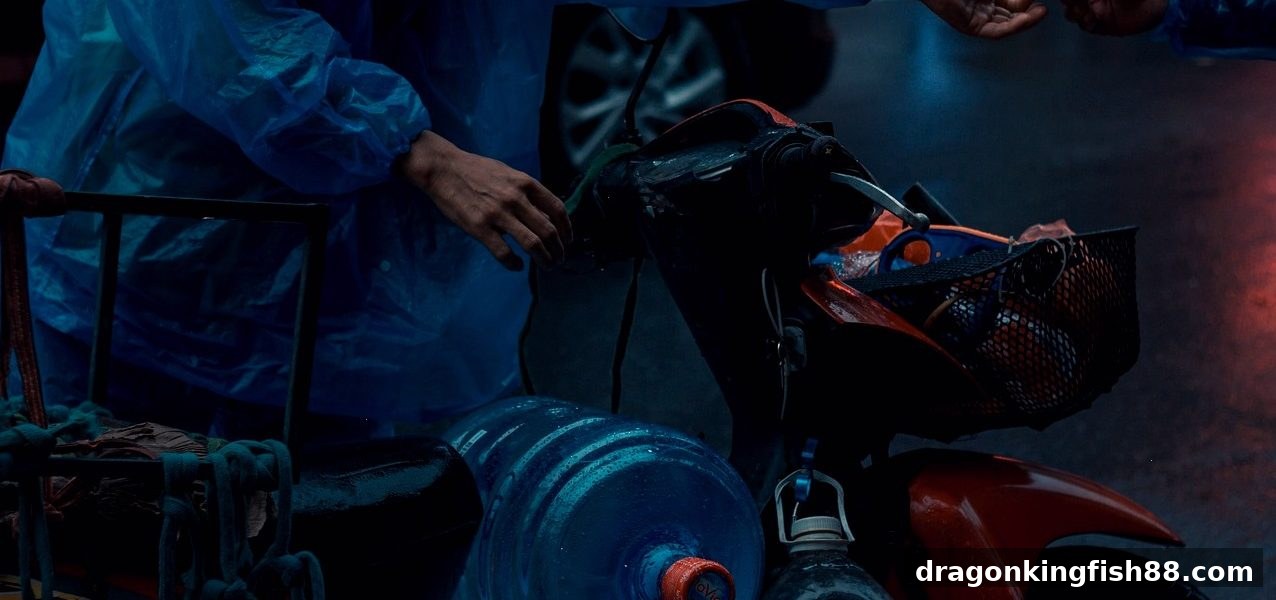 龙王捕鱼深度解读：腾讯分分互动数字货币提现审核机制与操作指南