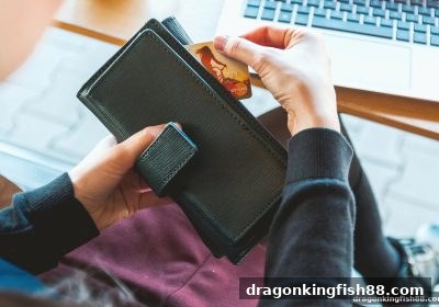 龙王捕鱼平台TRC20充值资金来源审核全攻略