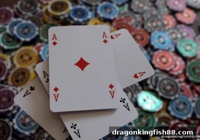龙王捕鱼带你玩转骰宝：规则、概率与实战策略全解析