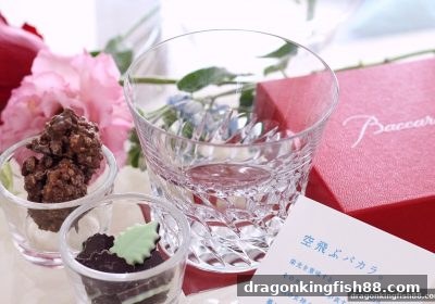 龙王捕鱼视角：桌游如何重塑团队协作的核心密码