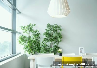 龙王捕鱼玩家的理性法则：认识压力、科学控资与快捷支付护航