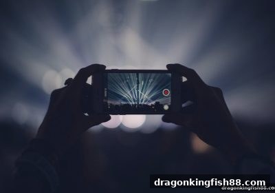 龙王捕鱼：老虎机真人游戏的观察智慧与资金管控新思维