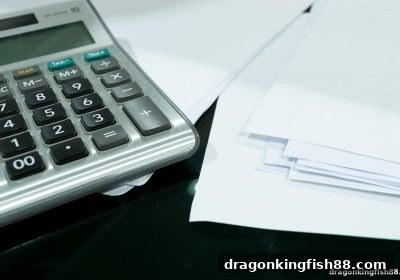 龙王捕鱼·号码分析工具实战指南：从数据洞察到策略升级