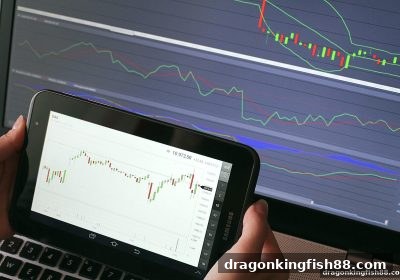 龙王捕鱼教你玩转冷热号：从基础到实战的完整攻略