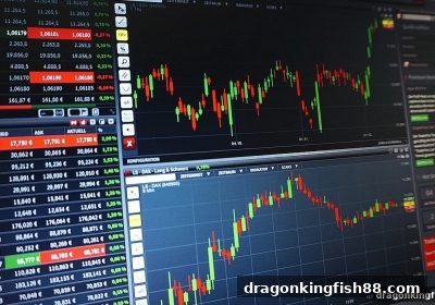 龙王捕鱼视角：热号与冷号的深层对比分析