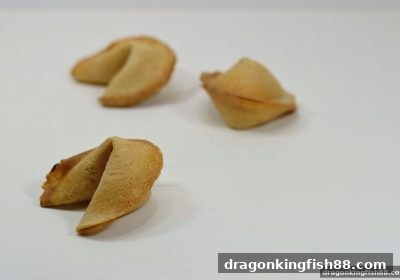 龙王捕鱼带您全面解锁时时彩：核心玩法与规则深度解析