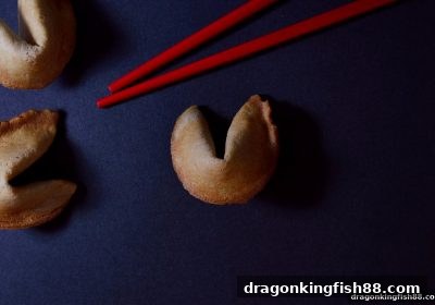 龙王捕鱼带你玩转时时彩：从入门到精通的实战手册