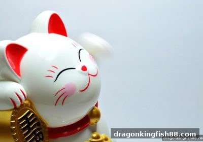 龙王捕鱼教你看穿彩票选号陷阱：科学外衣下的伪逻辑