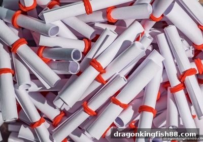 龙王捕鱼 | 数字奇偶组合下注策略深度解析
