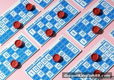 龙王捕鱼指南：复式投注策略详解，助您玩转彩票组合玩法