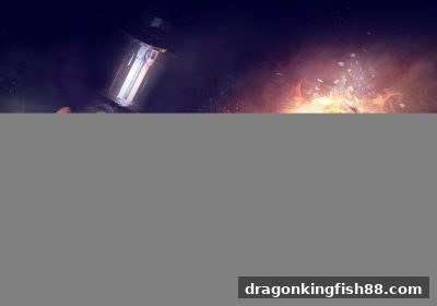龙王捕鱼带你玩转龙虎投注：规则全解析与提款限额指南