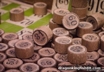 如何精准识别合法彩票销售平台与欧洲杯直播？龙王捕鱼教你安全避坑