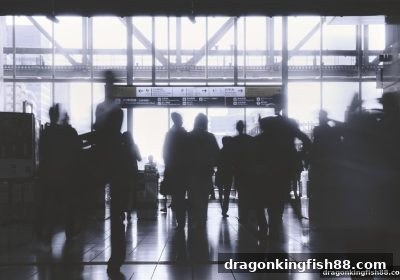 龙王捕鱼解析：彩票游戏背后的心理机制与理性参与指南