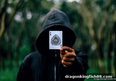 龙王捕鱼五龙争霸：底池赔率核心技巧与实战应用