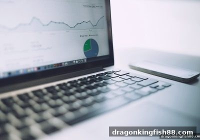 龙王捕鱼带你玩转极速赛车ICM分析：从底层逻辑到实战技巧