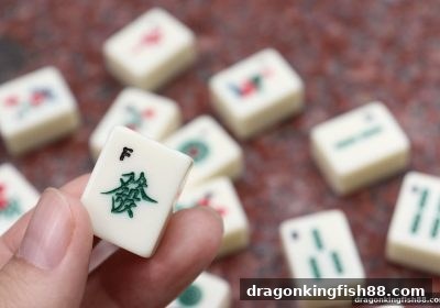 棋牌与电竞融合之道：龙王捕鱼带你洞察斗地主与CSGO比分网的制胜法则