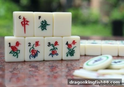 龙王捕鱼斗地主进阶指南：地牌抉择与资金安全双管齐下