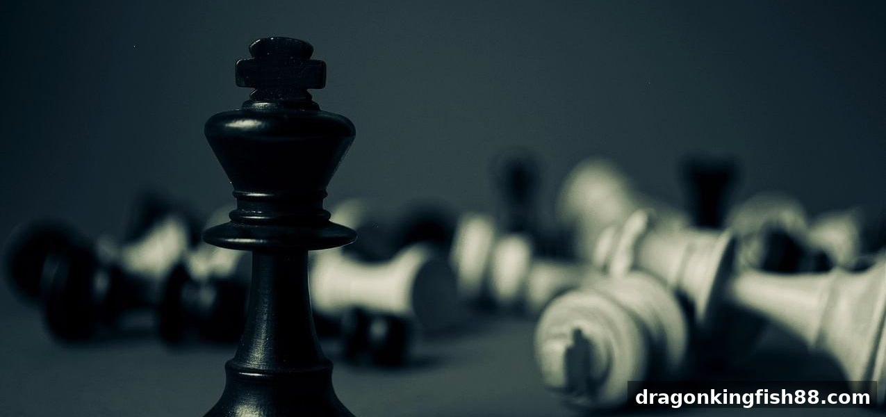 龙王捕鱼带你解锁WPT扑克与围棋入门技巧全攻略