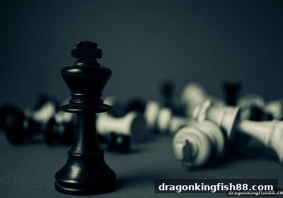 龙王捕鱼带你解锁WPT扑克与围棋入门技巧全攻略