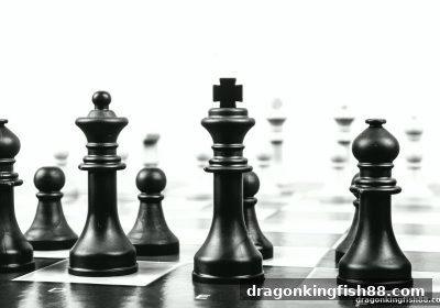 龙王捕鱼带你剖析：血战麻将与围棋的策略演变及常见失误