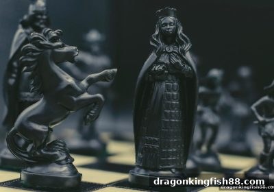 围棋棋力突破秘籍：龙王捕鱼式实战训练法