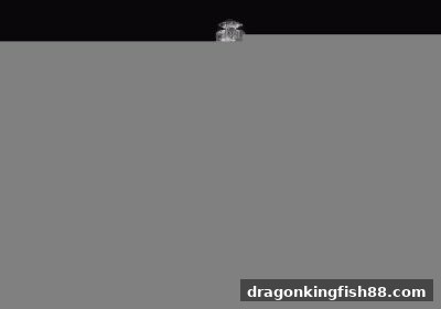 龙王捕鱼棋牌桌型全攻略：从设计巧思到福利博弈，带你玩转沉浸式对局