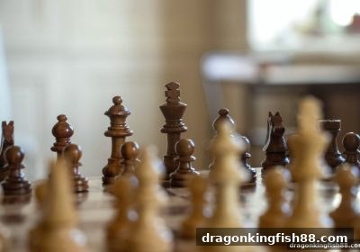 龙王捕鱼深度解析：围棋围空技巧与战略思考全攻略
