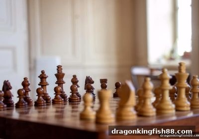 龙王捕鱼推荐：JILI电子围棋——融合教学与竞技的全能围棋平台