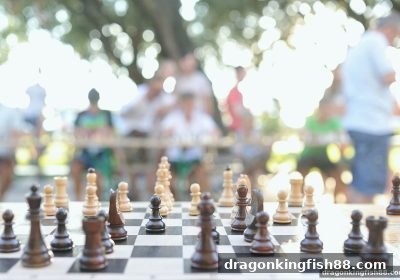 龙王捕鱼揭秘：太阳城扑克提款限额深度分析与实战对策
