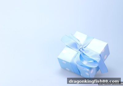 龙王捕鱼揭秘：每月签到福利的底层逻辑与高效参与攻略