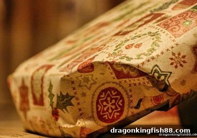 龙王捕鱼带你玩转太阳城每日签到积分：从入门到精通的全攻略