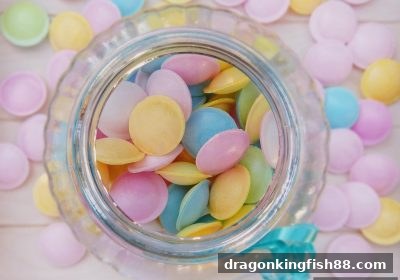 彩票玩法背后的数学法则：龙王捕鱼如何帮你理性看概率