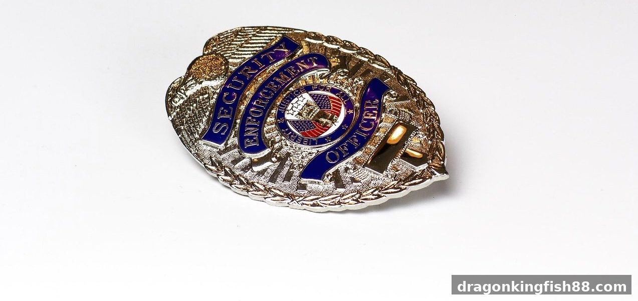 龙王捕鱼：网络娱乐监管框架下的合规运营与用户保障指南
