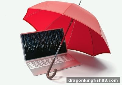 龙王捕鱼视角下的平台安全评估：技术、资质与资金保障全解析