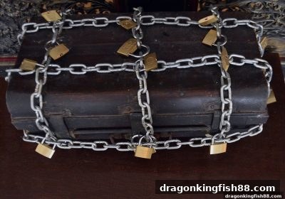 龙王捕鱼：炸金花网络游戏加盟代理的合规运营与风险管理