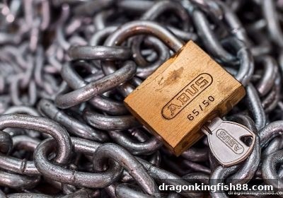 龙王捕鱼视角解读菲律宾在线娱乐合规：PAGCOR监管框架与IM体育的实战经验
