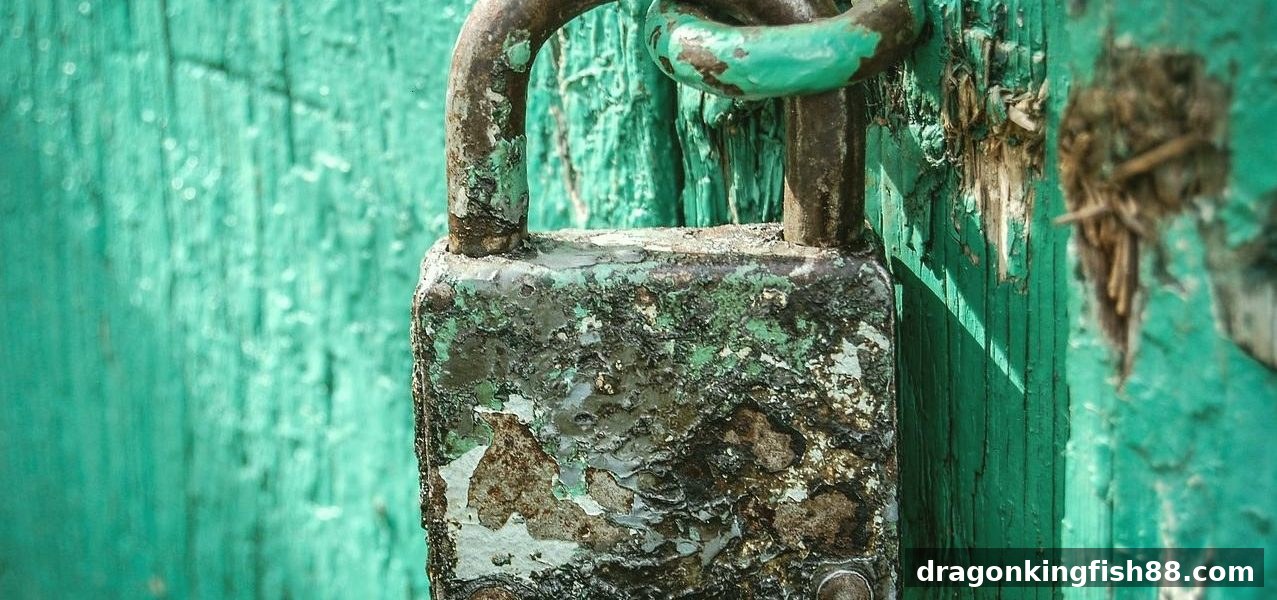 龙王捕鱼视角：菲律宾娱乐法律合规与玩家指南