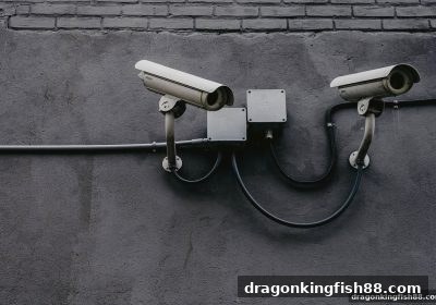 龙王捕鱼揭秘：广告中的“包赔稳赚”是馅饼还是陷阱？4招教你辨真伪