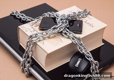 Dota2 竞猜指南：如何在龙王捕鱼筛选可靠平台并赢取免费体验金