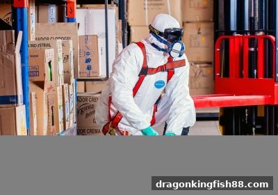 龙王捕鱼玩家必读：网络娱乐风险排查与账号冻结申诉实操指南