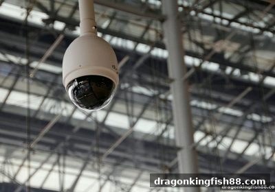 龙王捕鱼深度解析：街机游戏非正规平台的隐蔽陷阱与避坑指南