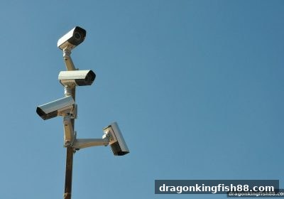 龙王捕鱼体验升级：马耳他牌照与微信支付如何构筑双重安全壁垒