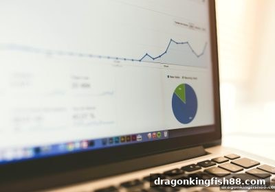 龙王捕鱼实战：电子游艺数据统计与策略优化全指南