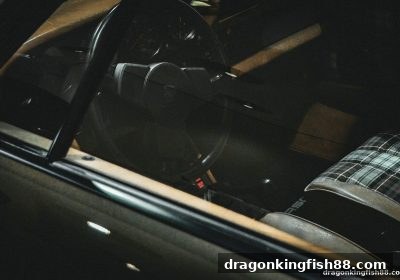 龙王捕鱼深度指南：免佣百家乐波动性数据监测与生日礼金实战策略
