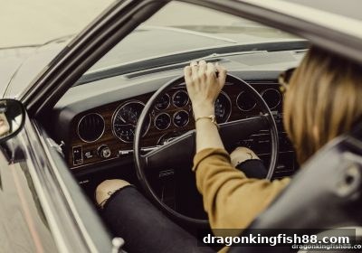 龙王捕鱼带你读懂游戏波动性：胜负背后的数学逻辑