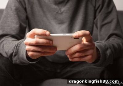 龙王捕鱼带你重温街机黄金时代：复古游戏为何再度爆火？