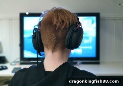 龙王捕鱼Allbet老虎机赛事与奖励活动全解析